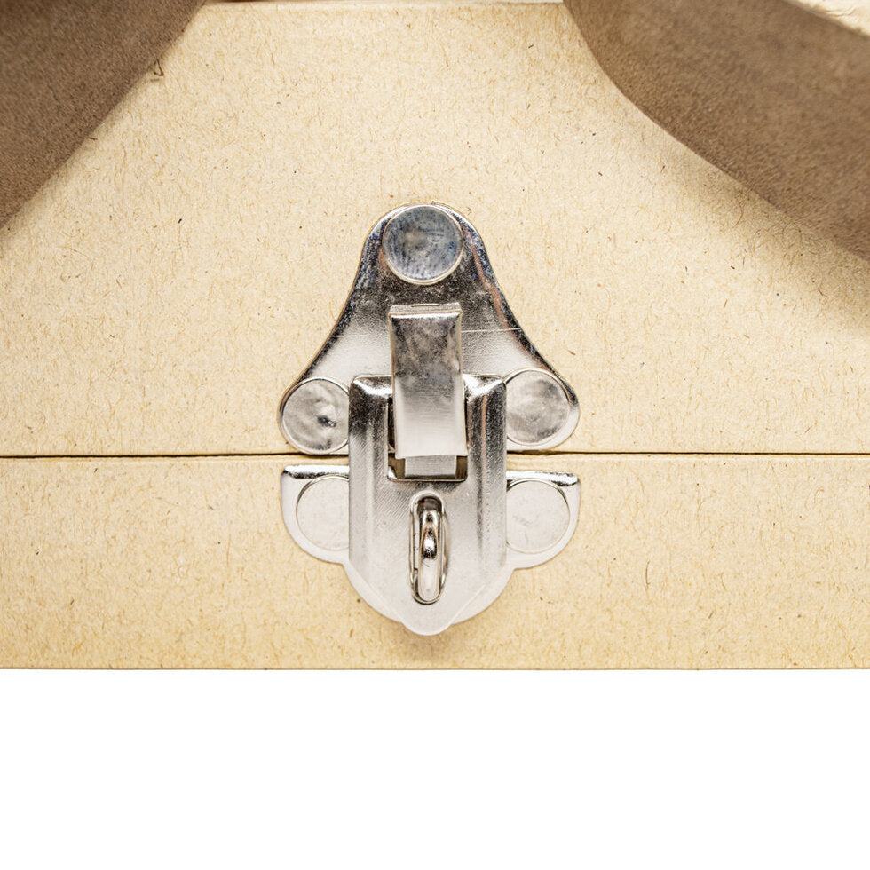 Suitcase Set of 2 Brown Handles
