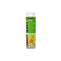 Glass Paint Vitrail Set of 6