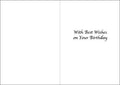 Greeting Sheets Birthday Pack of 10