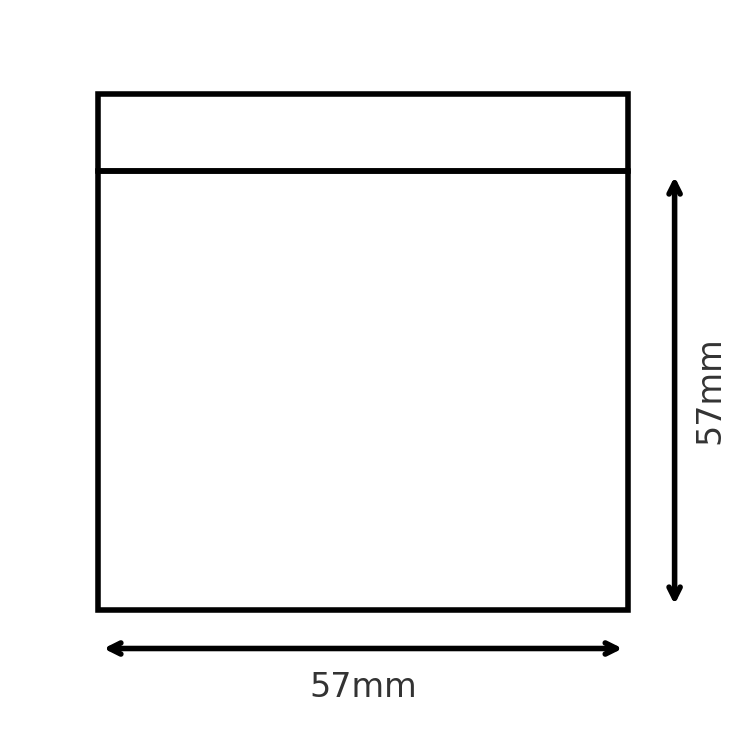 GSB-1 Gripseal Bag 57 x 57mm Pack of 100