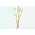 Hat Pin Gilt Plated Pack of 10