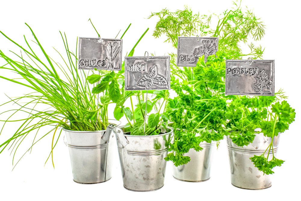 Metal Embossing Kit - Planter Labels