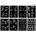 Swiss Glass Engraving Patterns Vol 2 Pack of 8 PP2