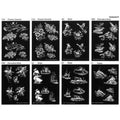 Swiss Glass Engraving Patterns Vol 5 Pack of 8 PP5