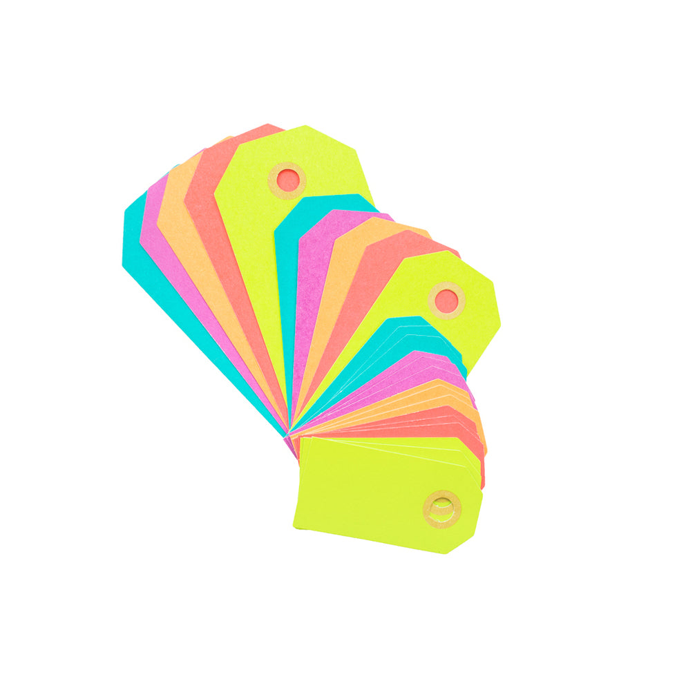 Luggage Tags Coloured Assorted sizes Pack of 25